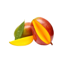 FRUF0062