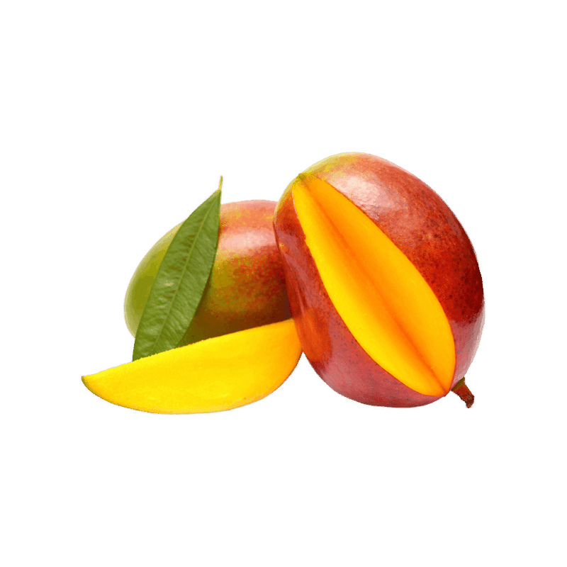 FRUF0062