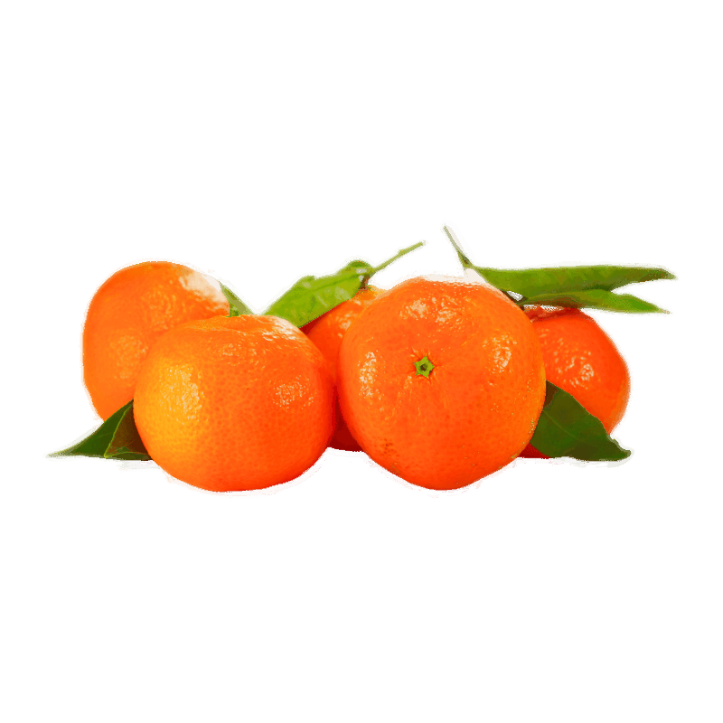 FRUF0074