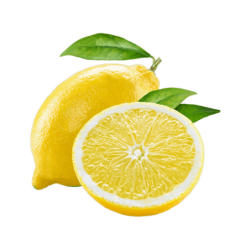FRUF0083
