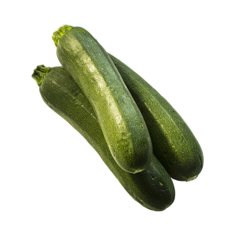 LEGF0225