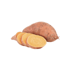 LEGF0311
